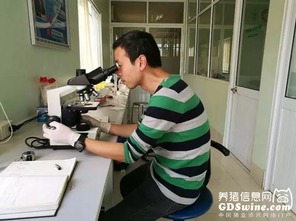 正典球苗技術服務團隊 專業(yè)力量走出國門，賦能全球客戶養(yǎng)殖新高度